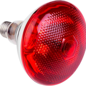 LÁMPARAS INFRARROJA